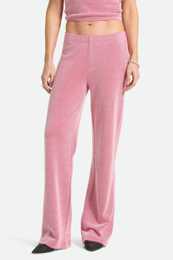 Brixton Siesta Knit Pant in Adrenaline Rush/White Weave