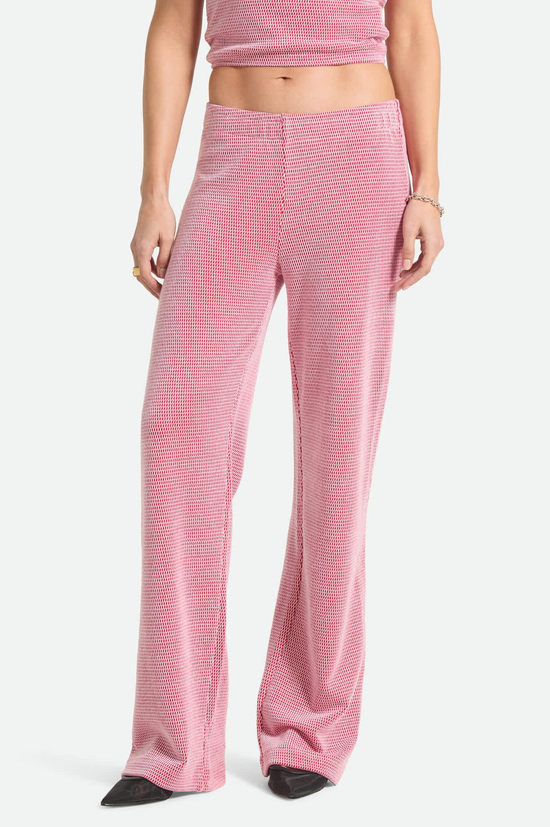Brixton Siesta Knit Pant in Adrenaline Rush/White Weave