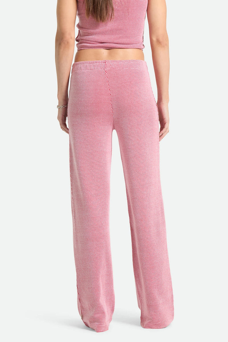 Brixton Siesta Knit Pant in Adrenaline Rush/White Weave