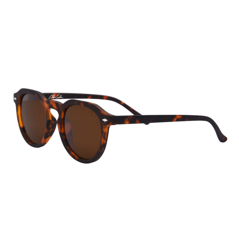 I-SEA Blair - Tort/Brown Polarized Lens